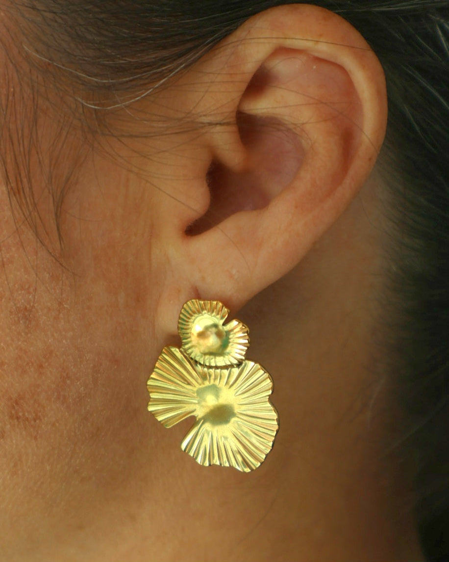 Aretes Lumina